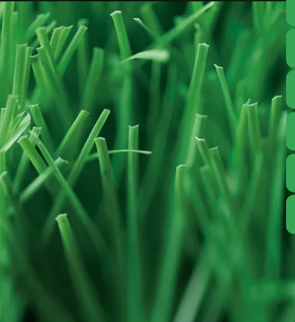 The Rise of Commercial Fake Grass: A Smart Investment