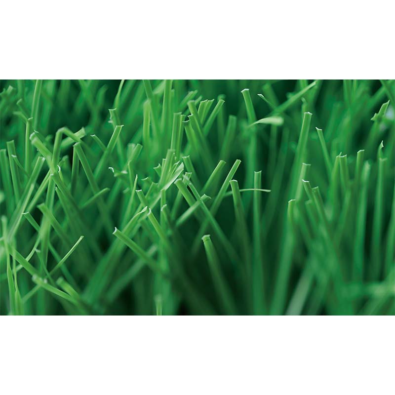artificial turf baseball field
