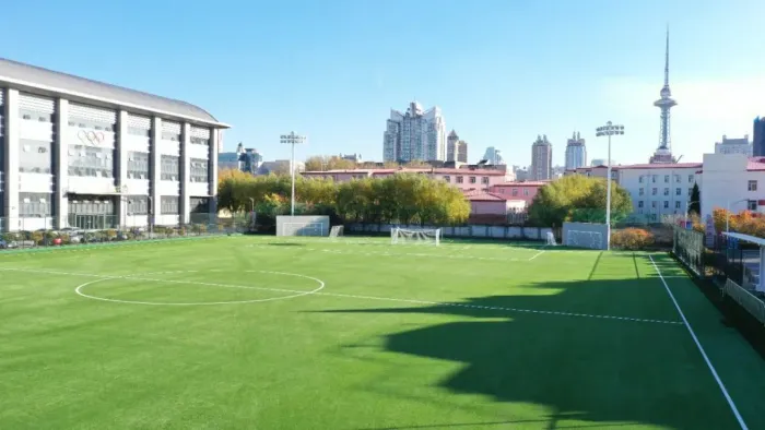 synthetic turf china