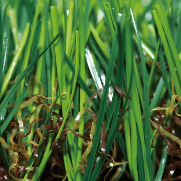 The Future of Tennis Courts with Synthetic Grass