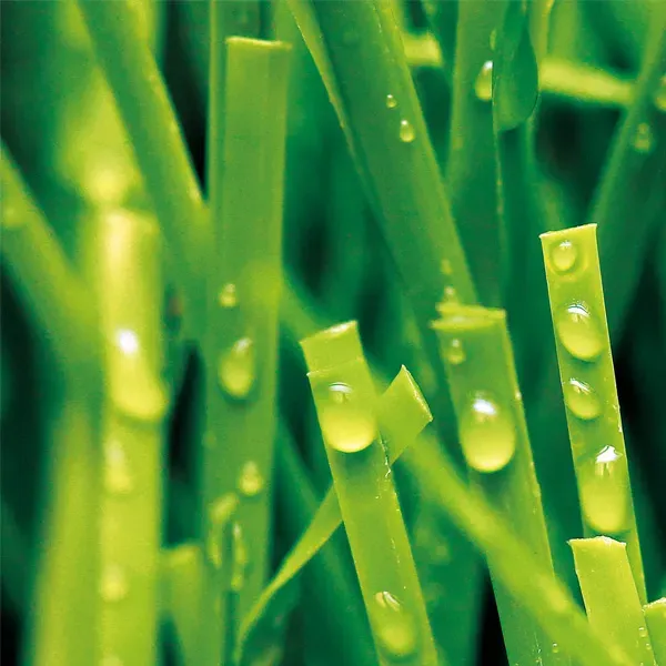 oem artificial grass golf greens