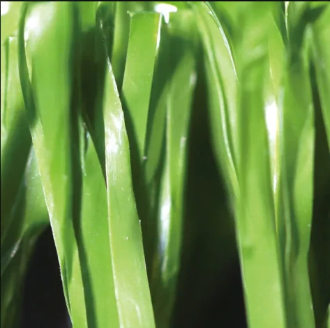 Commercial Artificial Grass: The Future of Turf Solutions