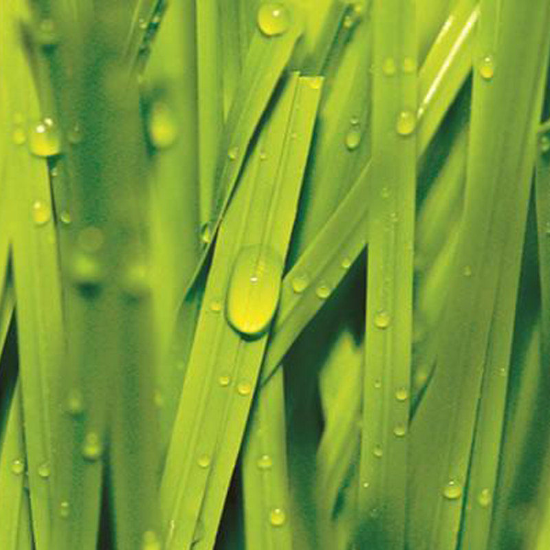 fake grass wall decor exporters