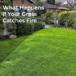 artificial grass front lawn
