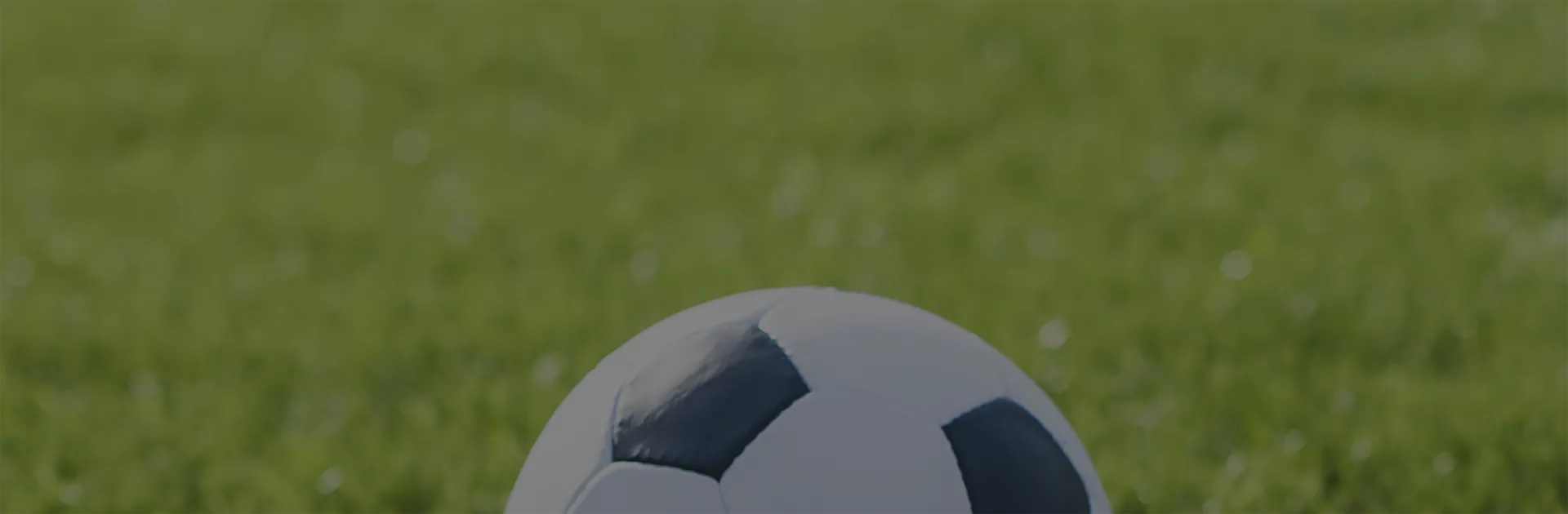 The 2008 Bird's Nest Olympic Games  designated artificial grass