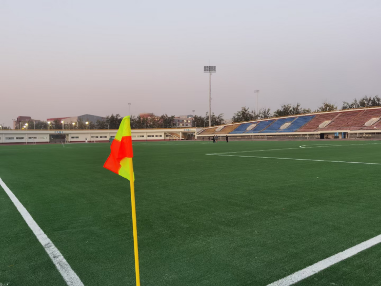 landscape artificial grass