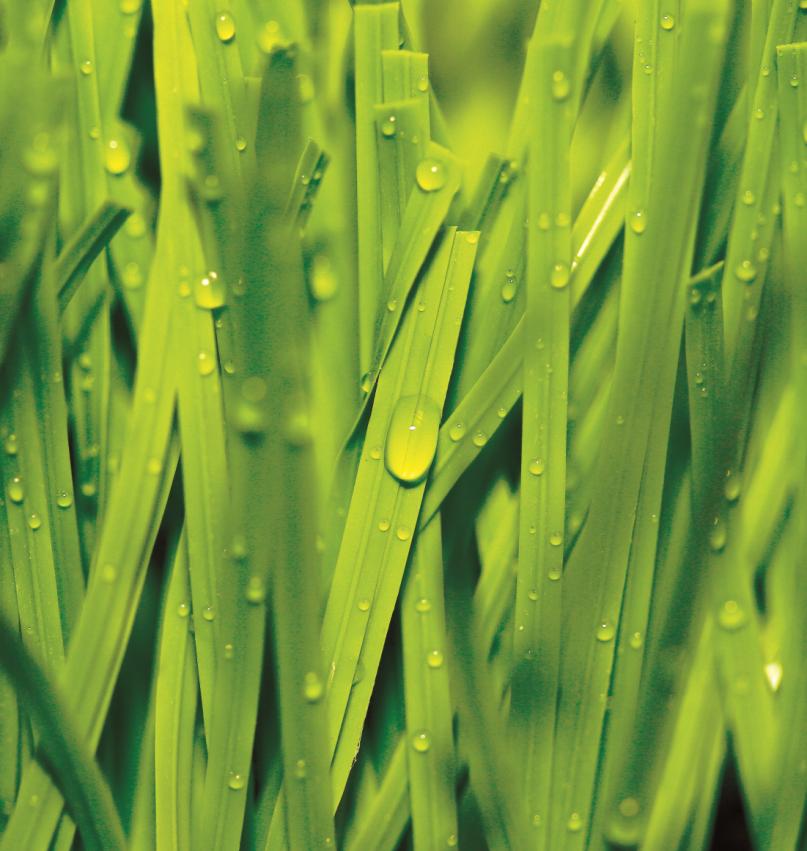 wholesale blue fake grass carpet