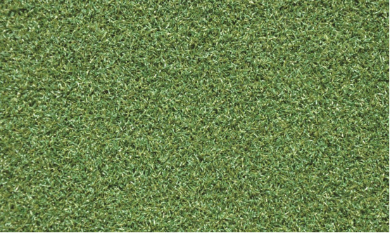playground grass