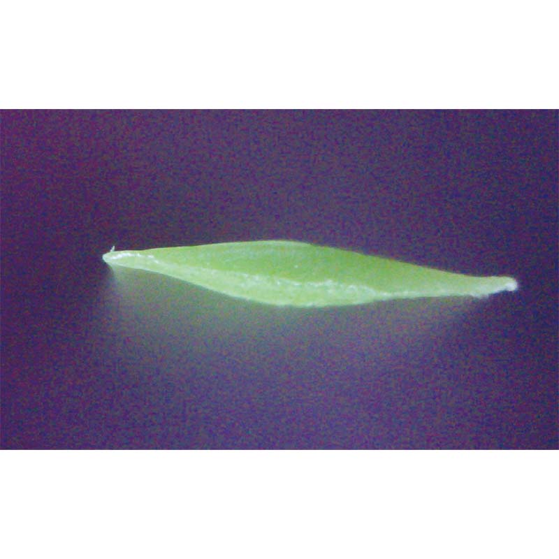 artificial grass turf roll